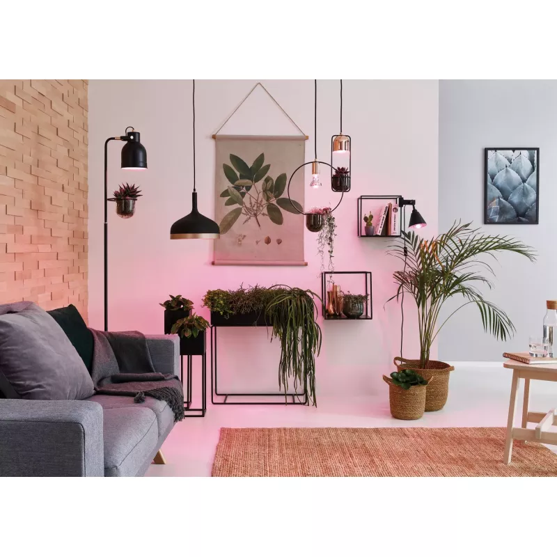 Vitis-Punktklemme mit flexiblem Arm und Kabelschalter, schwarz, 230 V, E14