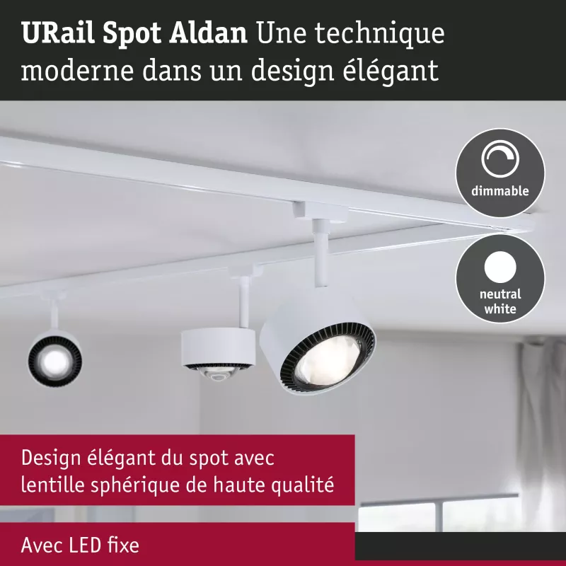 URail Spot sur rail Aldan Spot individuel 470lm 8W 4000K gradable 230V Blanc signal