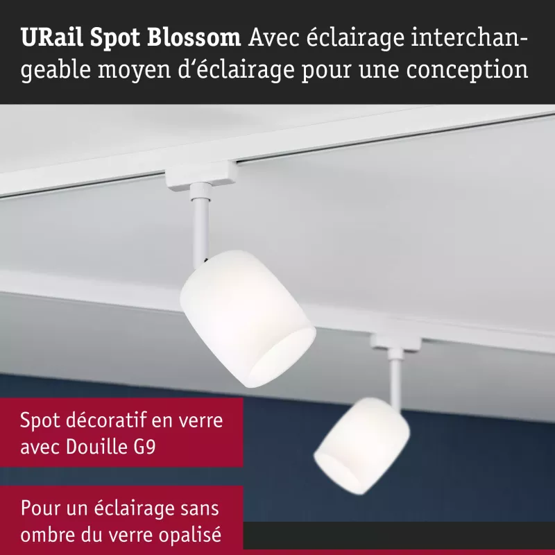 URail Track spotlight Blossom G9 max. 10W dimmable 230V Signal white PAULMANN 13 - Cimaise Tableau 