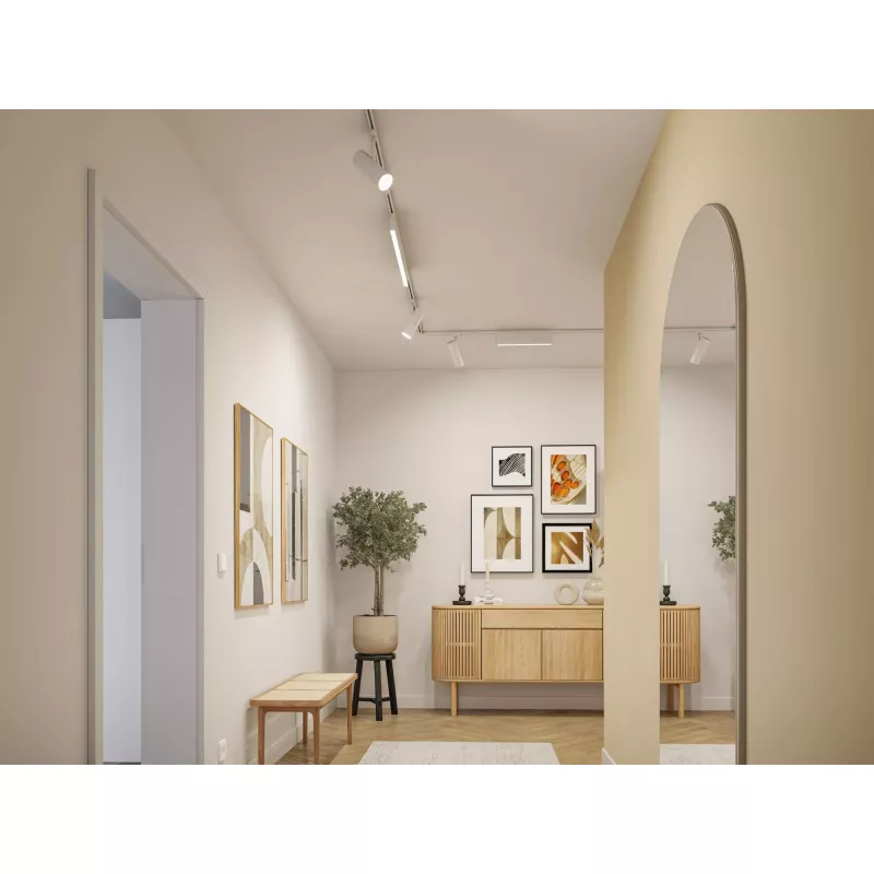URail Track spotlight Theron Individual spotlight 1020lm 11W 3000K dimmable 230V Signal white PAULMANN 21 - Cimaise Tableau 