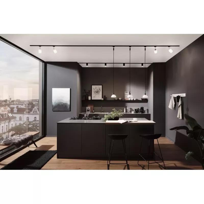 ,URail Suspension Sarrasani E14 max. 20W gradable 230V Noir mat,,, PAULMANN 13 - Cimaise Tableau 