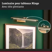 ,Éclairage de tableau LED Mingo 3000K 510lm 230V 9,,5W Laiton patiné, - système d'accrochage et décoration - détail 3