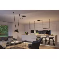 ULine Luminaire en suspension LED Bol 300mm 12W Noir - système d'accrochage et décoration - détail 9