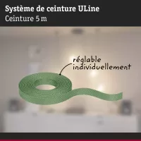 ULine 5m Dacron Textile Copper Green Webbing - système d'accrochage et décoration - détail 4