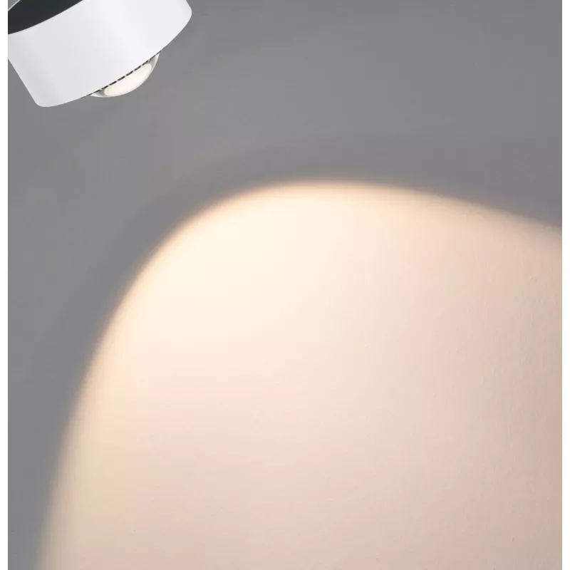 URail Spot sur rail Aldan Spot individuel 470lm 8W 3000K gradable 230V Blanc signal
