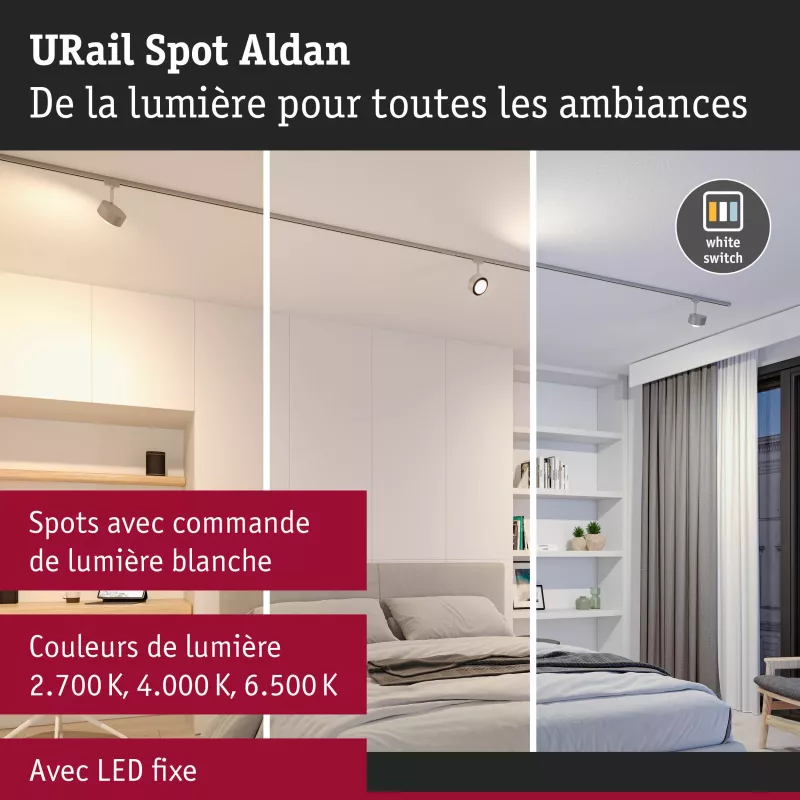 URail Spot sur rail Aldan Spot individuel 500lm 8W White Switch 230V
