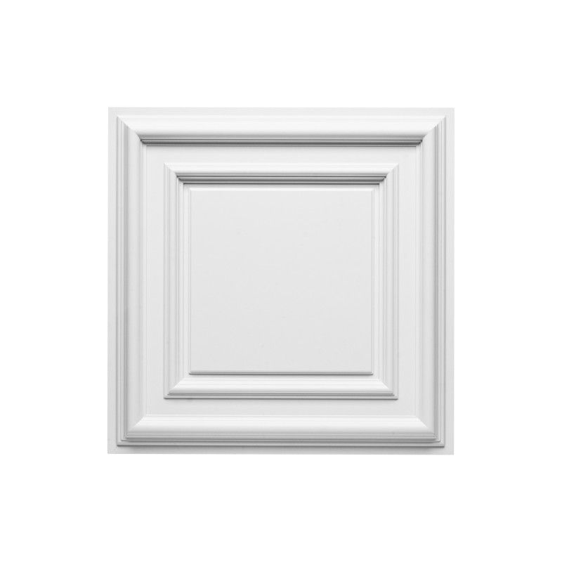 F30 ORAC Durofoam Platte L59,5 x H4,3 x B59,5 cm ORAC DECOR 1 - Cimaise Tableau