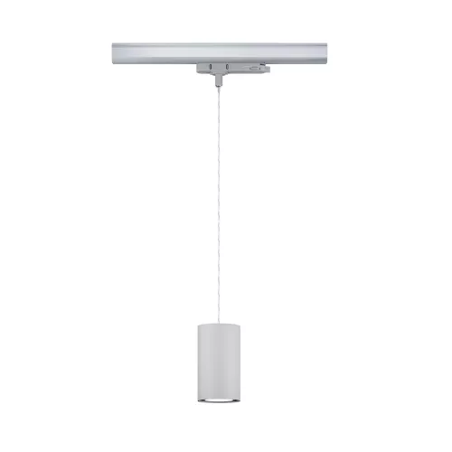 ProRail3 Pendant Lamp Kratos 3100lm 25W 4000K 230V PAULMANN 16 - Cimaise Tableau 