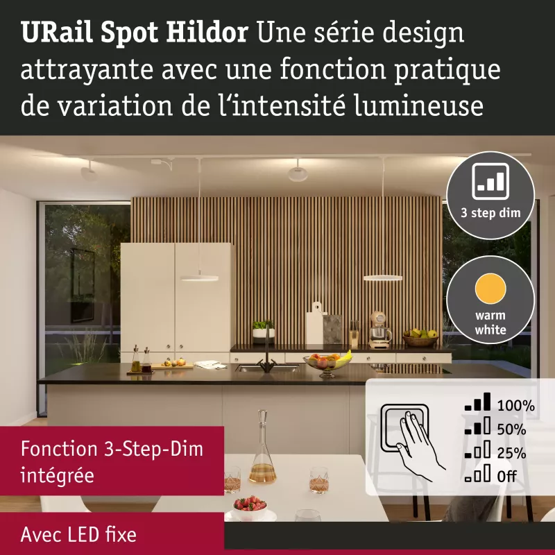 URail Track spotlight 3-Step-Dim Hildor 850lm 15W 3000K dimmable 230V PAULMANN 53 - Cimaise Tableau 