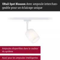 URail Schienenstrahler Blossom G9, max. 10 W, dimmbar, 230 V - système d'accrochage et décoration - détail 5