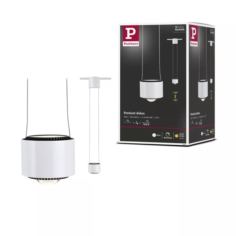 URail Pendant Lamp Aldan 820lm / 0lm 8.5W / 4.5W 2700K dimmable 230V PAULMANN 36 - Cimaise Tableau 