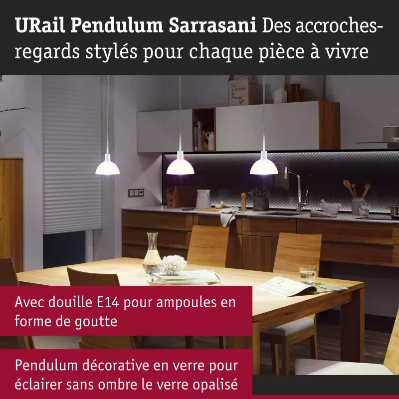 URail Pendant Lamp Sarrasani E14 max. 20W dimmable 230V PAULMANN 38 - Cimaise Tableau 