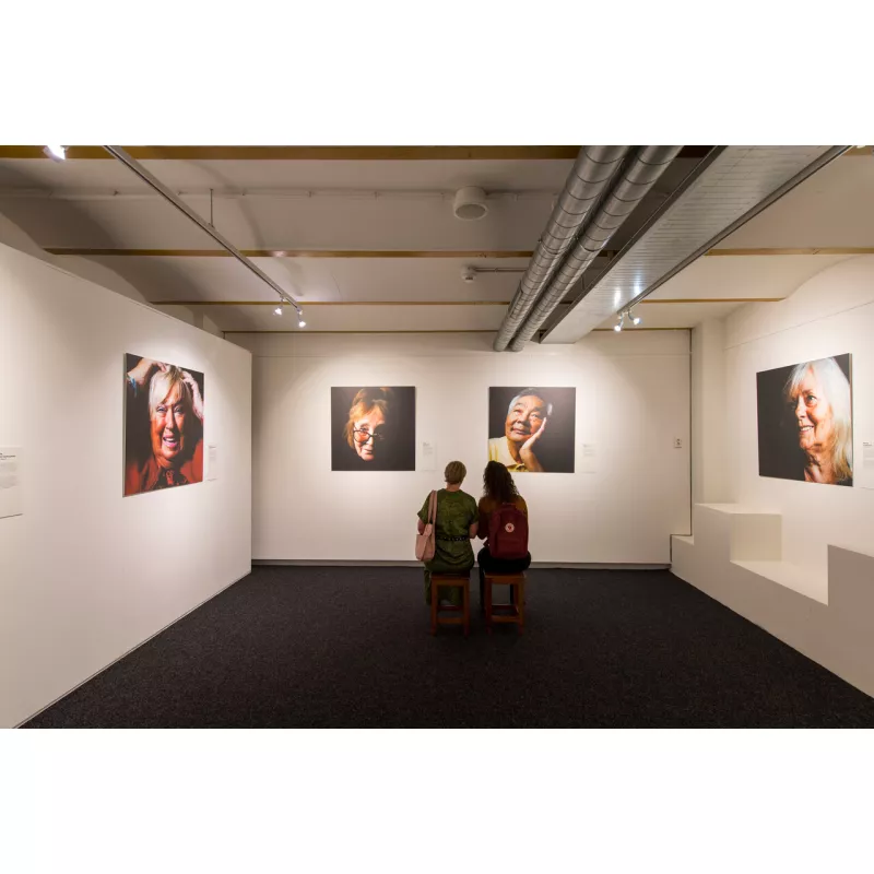 Click Rail Pro 50 kg + Clips – artiteq Bilderschiene zum Aufhängen ARTI TEQ 16 - Cimaise Tableau 