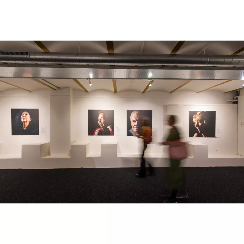 Cimaise click rail pro 50 kg + Clips - hanging picture rail artiteq ARTI TEQ 17 - Cimaise Tableau 