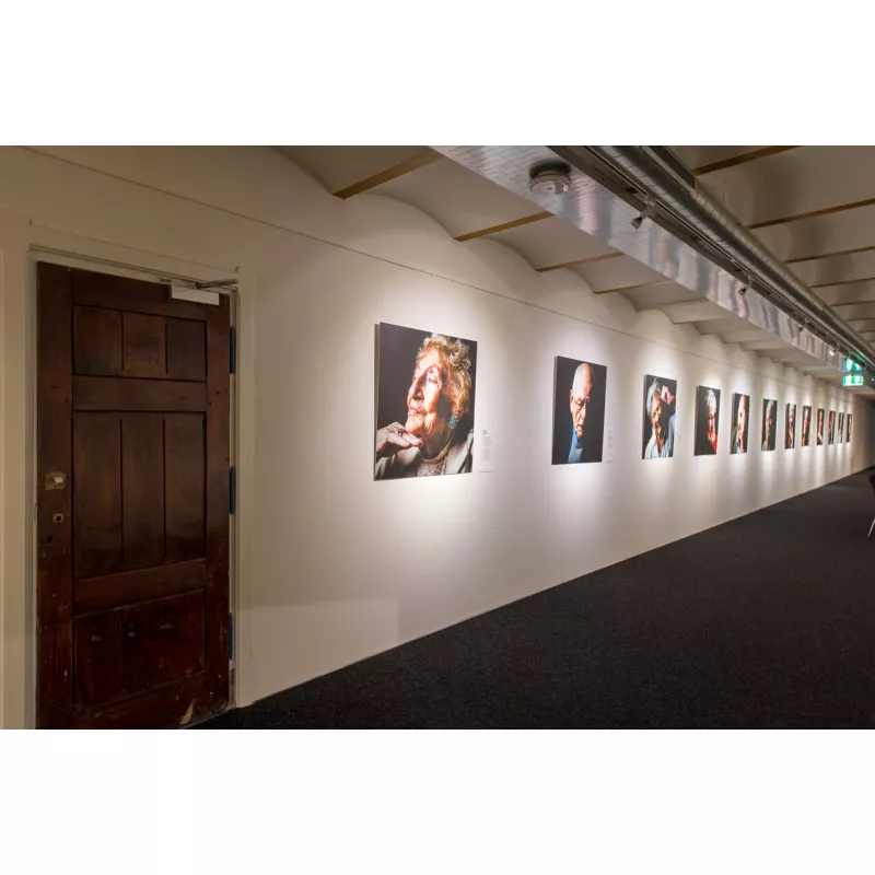 Click rail pro 50 kg + Clips - artiteq para colgar cuadros ARTI TEQ 18 - Cimaise Tableau 