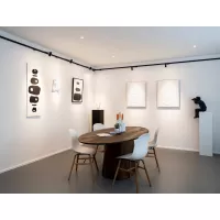 Illume Duo Rail (48V) - Cimaise lumineuse - système d'accrochage et décoration - détail 3