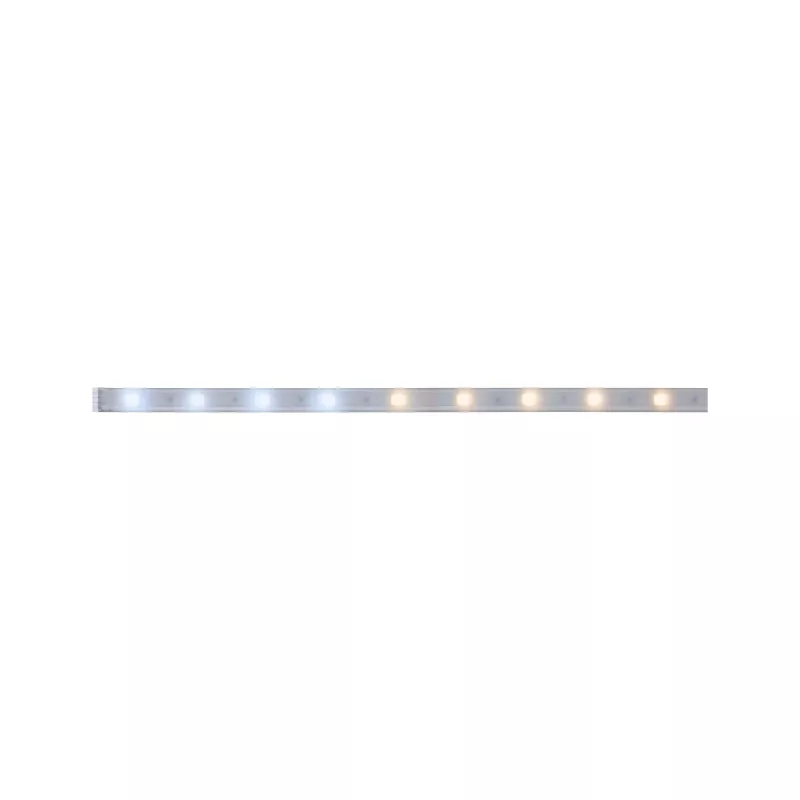 MaxLED 250 Strip LED - Extension - -  Tunable white  -  Revêtue - système d'accrochage et décoration