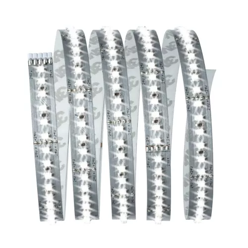 MaxLED 1000 LED Strip - Basic Kit - Daylight White - 6500k