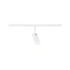 URail Spot sur rail 3-Step-Dim Tubo PAULMANN 13 - Cimaise Tableau 