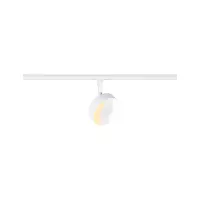 URail Spot an der Circle Rail PAULMANN 15 - Cimaise Tableau 