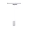 ProRail3 - Suspension Kratos 1000lm 9W 3000K 230V - Paulmann PAULMANN 1 - Cimaise Tableau 