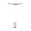 ProRail3 - Kratos Pendelleuchte 1000lm 9W 3000K 230V - Paulmann PAULMANN 2 - Cimaise Tableau 