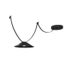 ULine - Strap - Paulmann PAULMANN 1 - Cimaise Tableau 