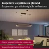 Linion - Accesorios para sistemas de suspensión por cable - Paulmann PAULMANN 5 - Cimaise Tableau 