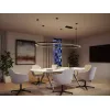 Linion - Accessoires Suspension par câble - Paulmann PAULMANN 10 - Cimaise Tableau 