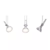 CorDuo Cable System Comet Spot Individual GU5.3 max. 50W Dimmable 12V - Paulmann PAULMANN 6 - Cimaise Tableau 