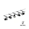 CorDuo Cup Cable System - Paulmann PAULMANN 1 - Cimaise Tableau 