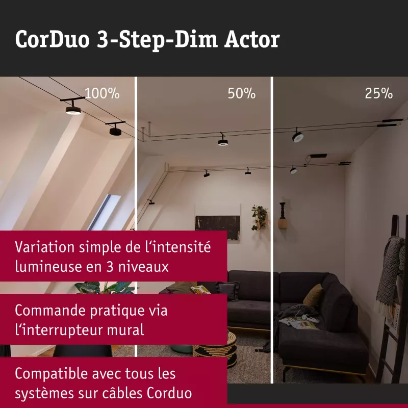 CorDuo 3-Step-Dim Cable System, 3-Level Dimmer, White - Paulmann PAULMANN 5 - Cimaise Tableau 