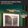 Mingo 3000K LED Picture Light - Paulmann PAULMANN 3 - Cimaise Tableau 