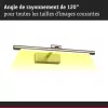 Mingo 3000K LED -Bilderleuchte - Paulmann PAULMANN 5 - Cimaise Tableau 