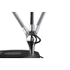 Numis LED Schreibtischlampe - Paulmann PAULMANN 19 - Cimaise Tableau 