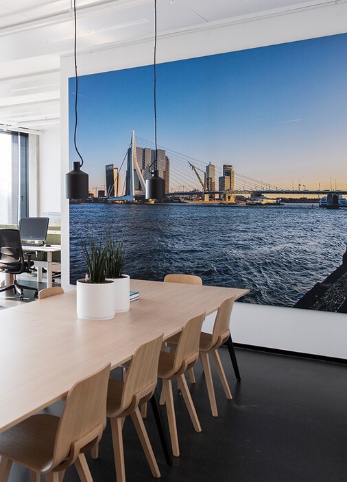 Picture rail accessories