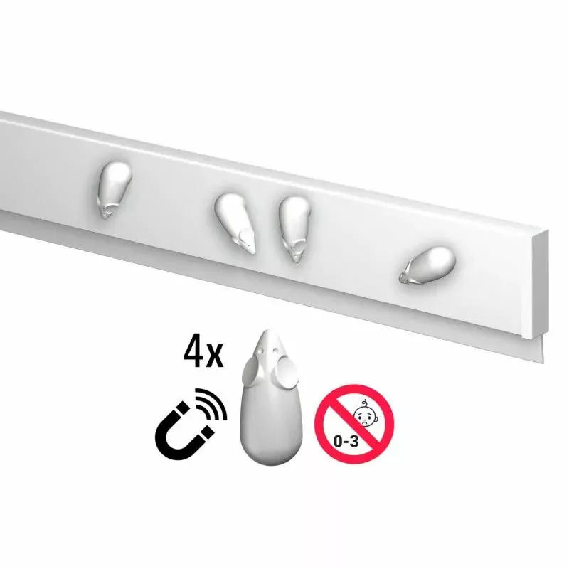 Info rail magnetique