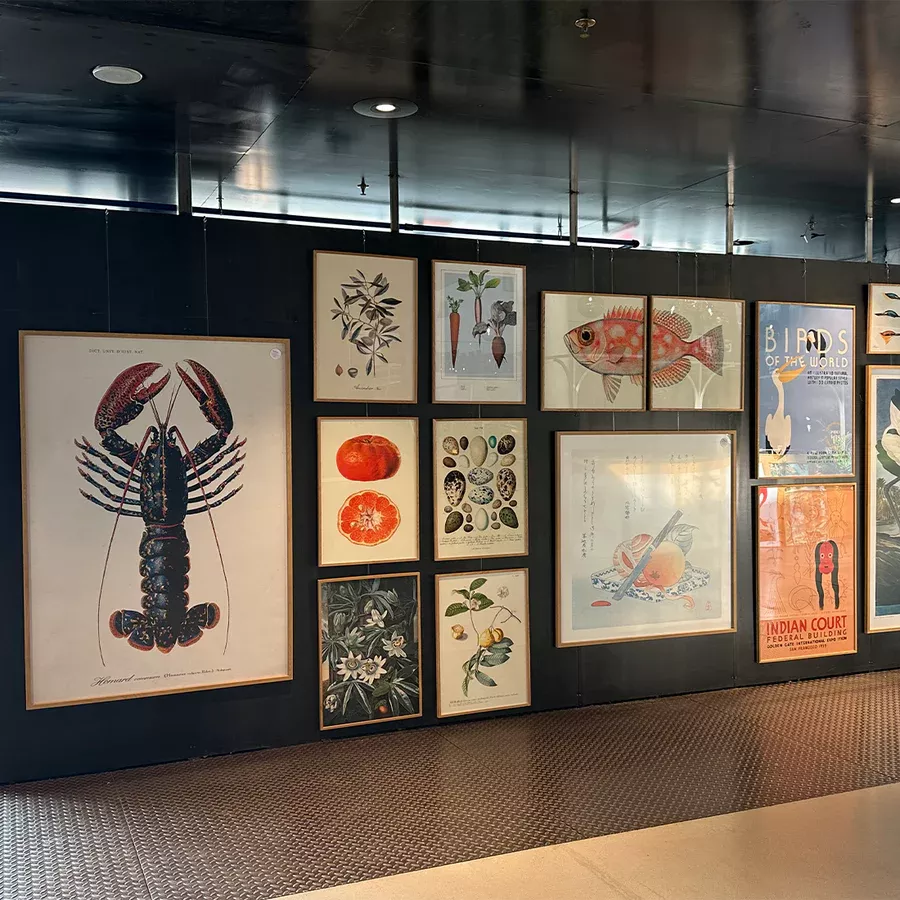 crochets pour parois de séparation